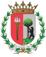 Especialista en Cirugía Ortopédica y Traumatología vía MIR.