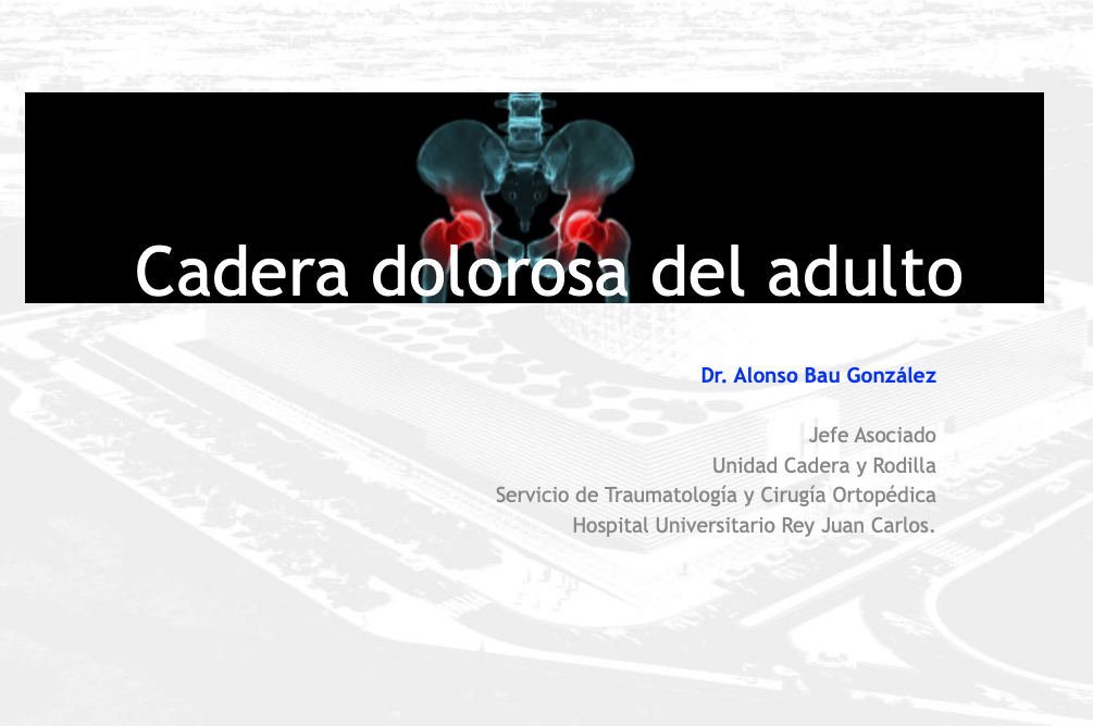 Seminario Artroplastias II
